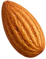 Snack