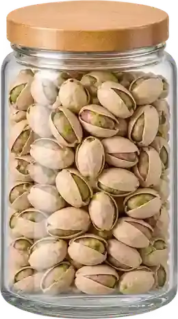 Pista