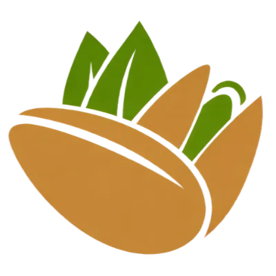 Mannat Dryfruits And Namkeen