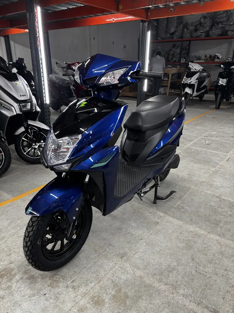 Zest - Blue Color - image 6