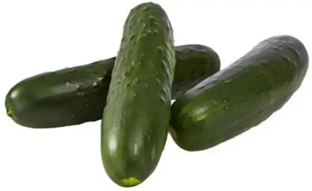 Cucumber (Kheera)