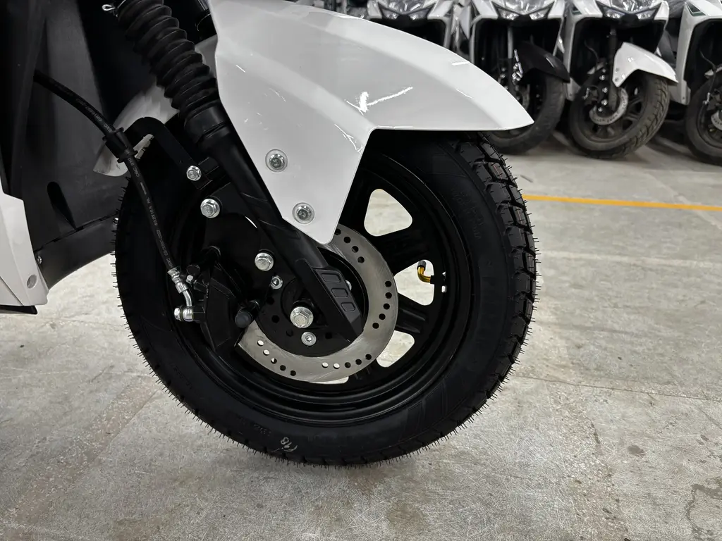 Max - White Color - image 7