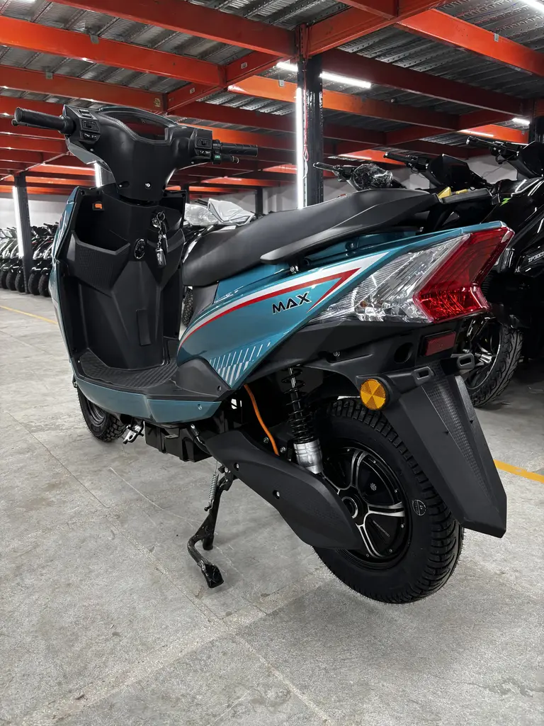 Max - Blue Color - image 10