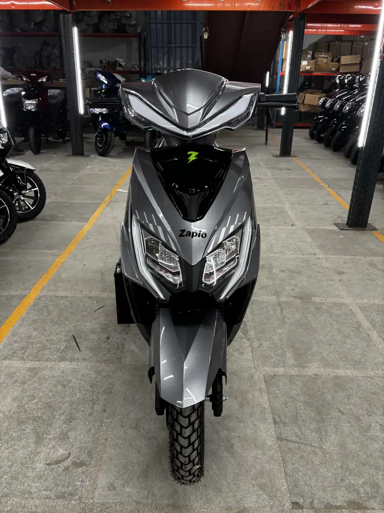 Max - Gray Color - image 7