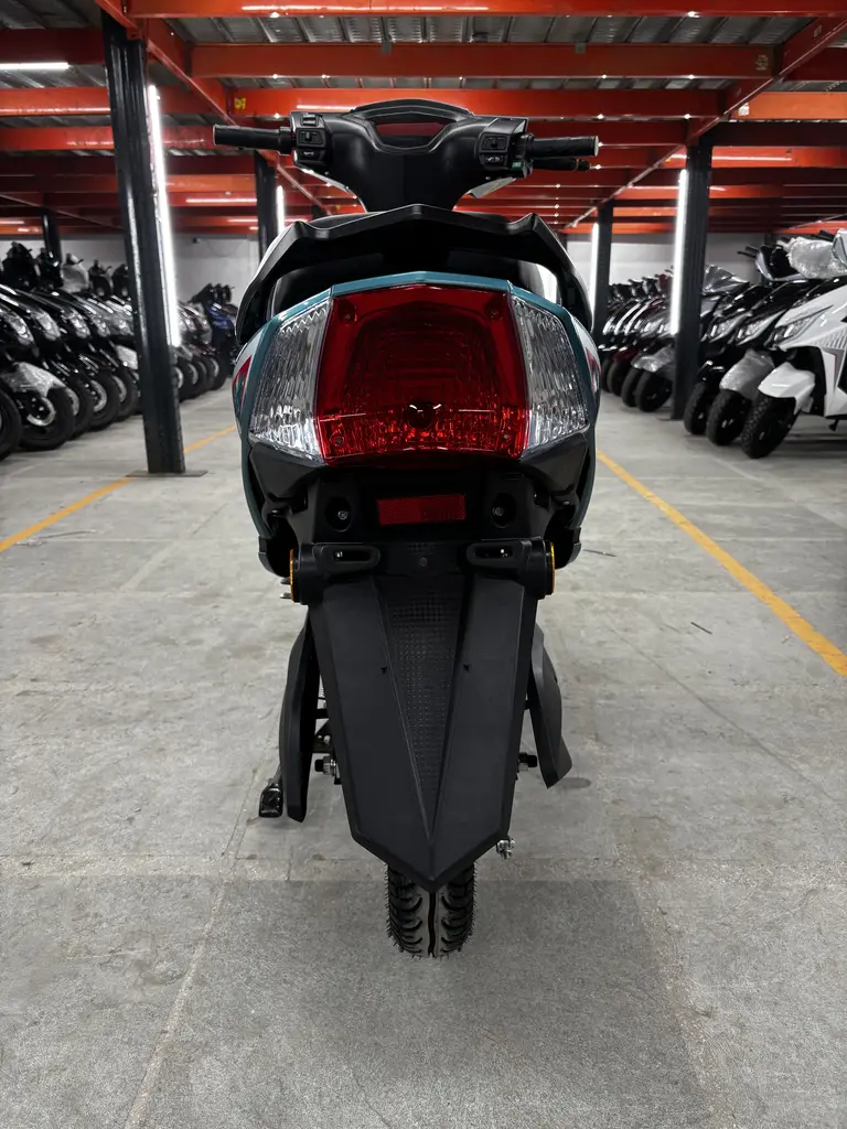 Max - Blue Color - image 9