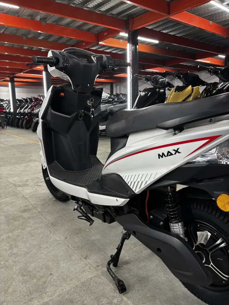 Max - White Color - image 9